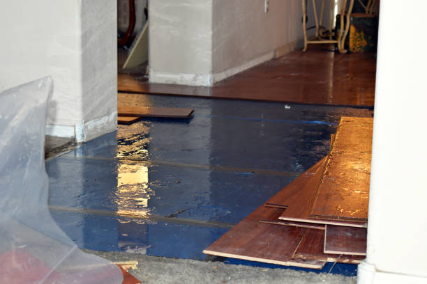 Professional Basement Flood Cleanup technician working in Harrington, WA